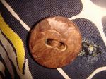 079_R.JPG