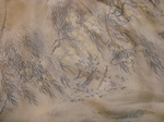 DSC00721.JPG