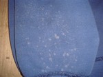 DSC03833_R.jpg