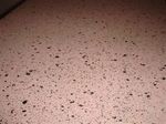 DSC04130_R.jpg