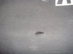 DSC05362_R.jpg