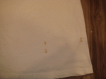 DSC08699.JPG