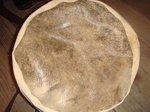 DSC08734_R.jpg
